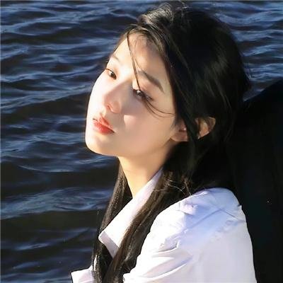 领头羊
